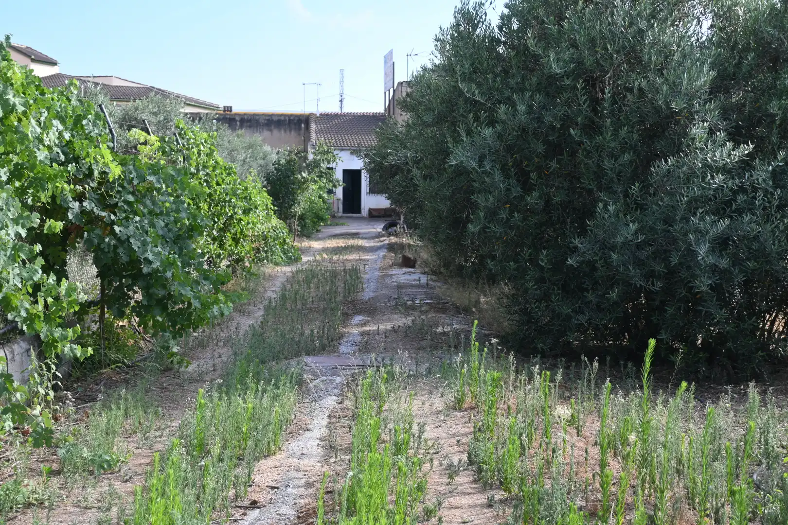 Jardín de Residencial en venta en Alhendín