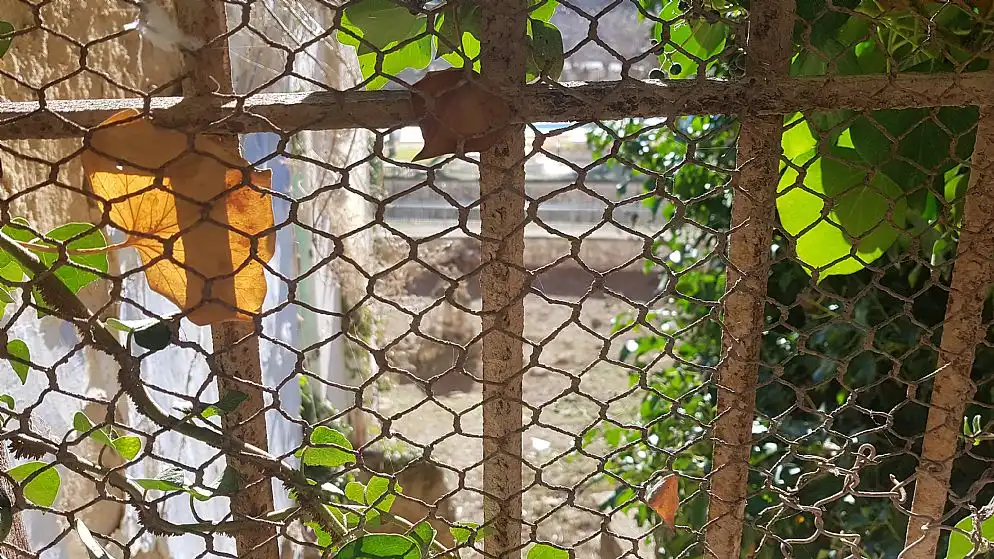 Terreni e lotti in vendita a C/ Fueros de Aragón, imagen 11