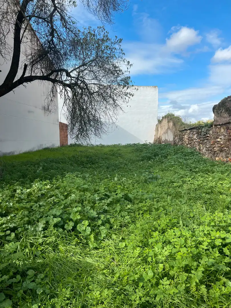 Terreny residencial en venda a Calle Uceda 11, imagen 4