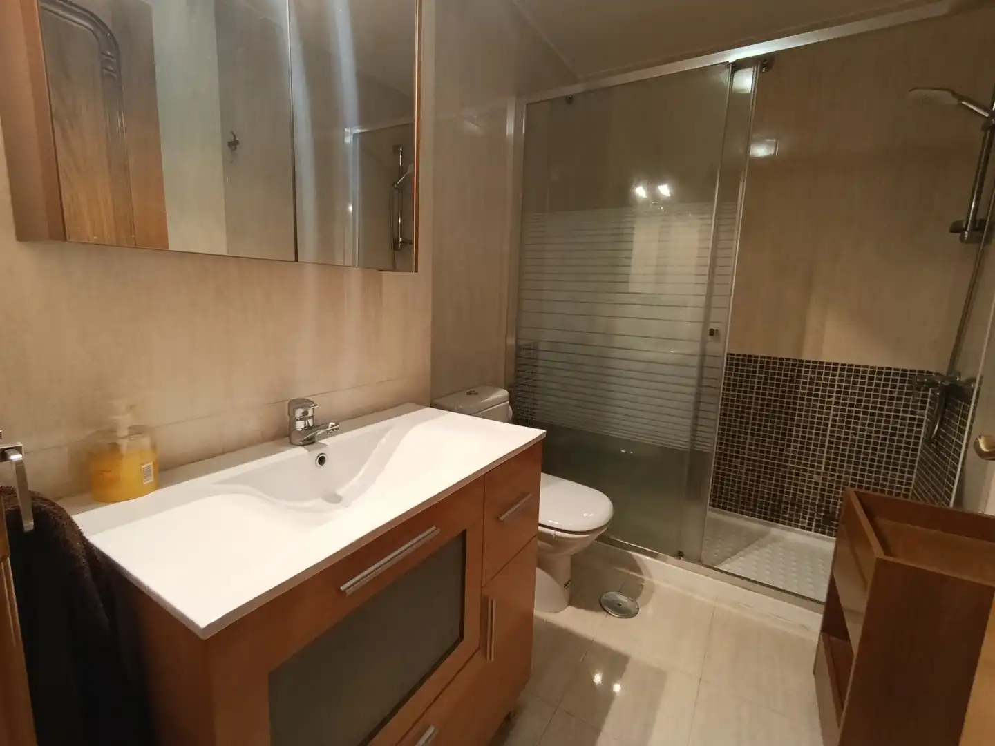 Bathroom of Attic for sale in Benavente  with Heating, Terrace and Furnished