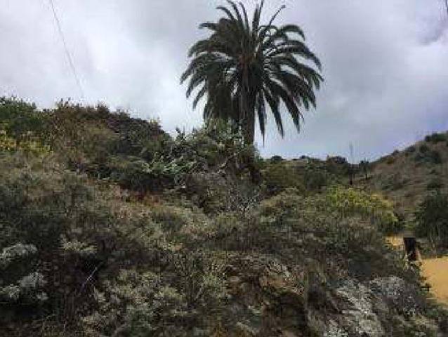 Terreno en Venta en Los Chapines, POLIG en Vallehermoso