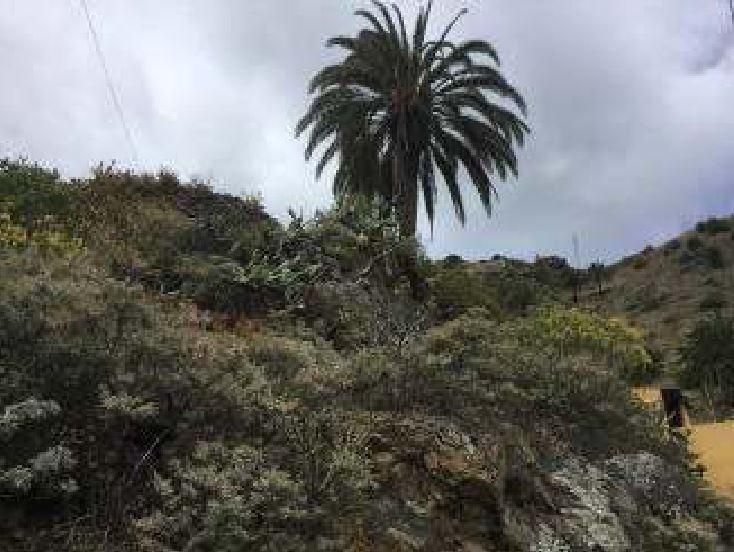 Land for sale in Vallehermoso