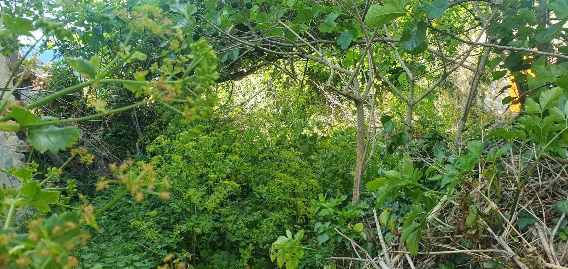 Casa rústica en venda a Valle de Mena, imagen 23