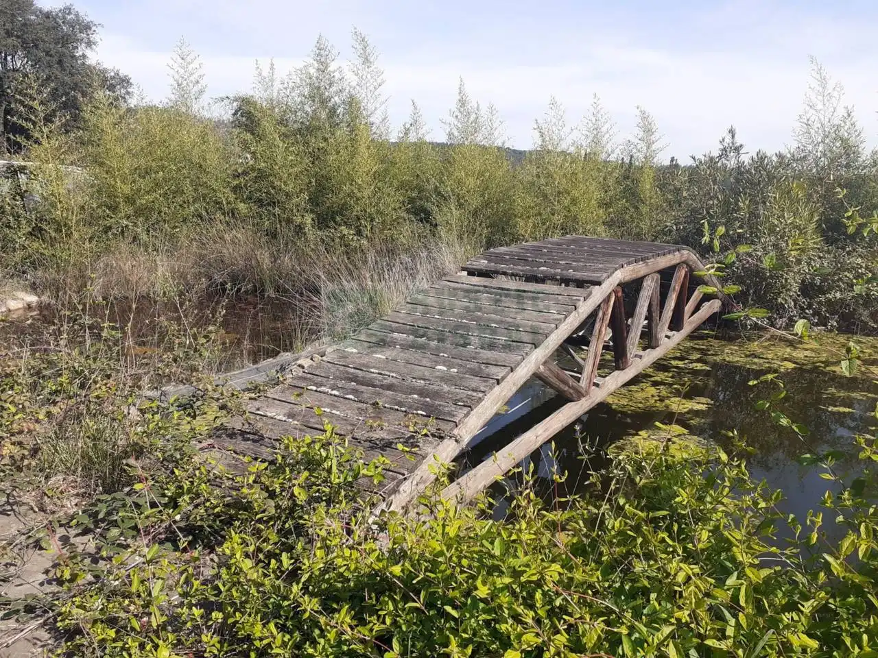 Casa rústica amb jardí en venda a Riudarenes, imagen 7