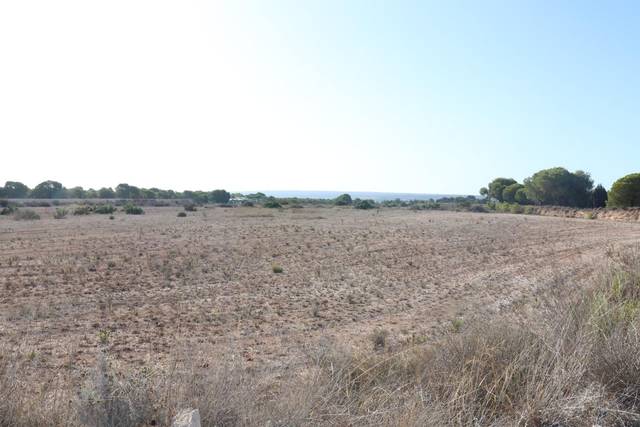 Terreno en Venta en Valverde