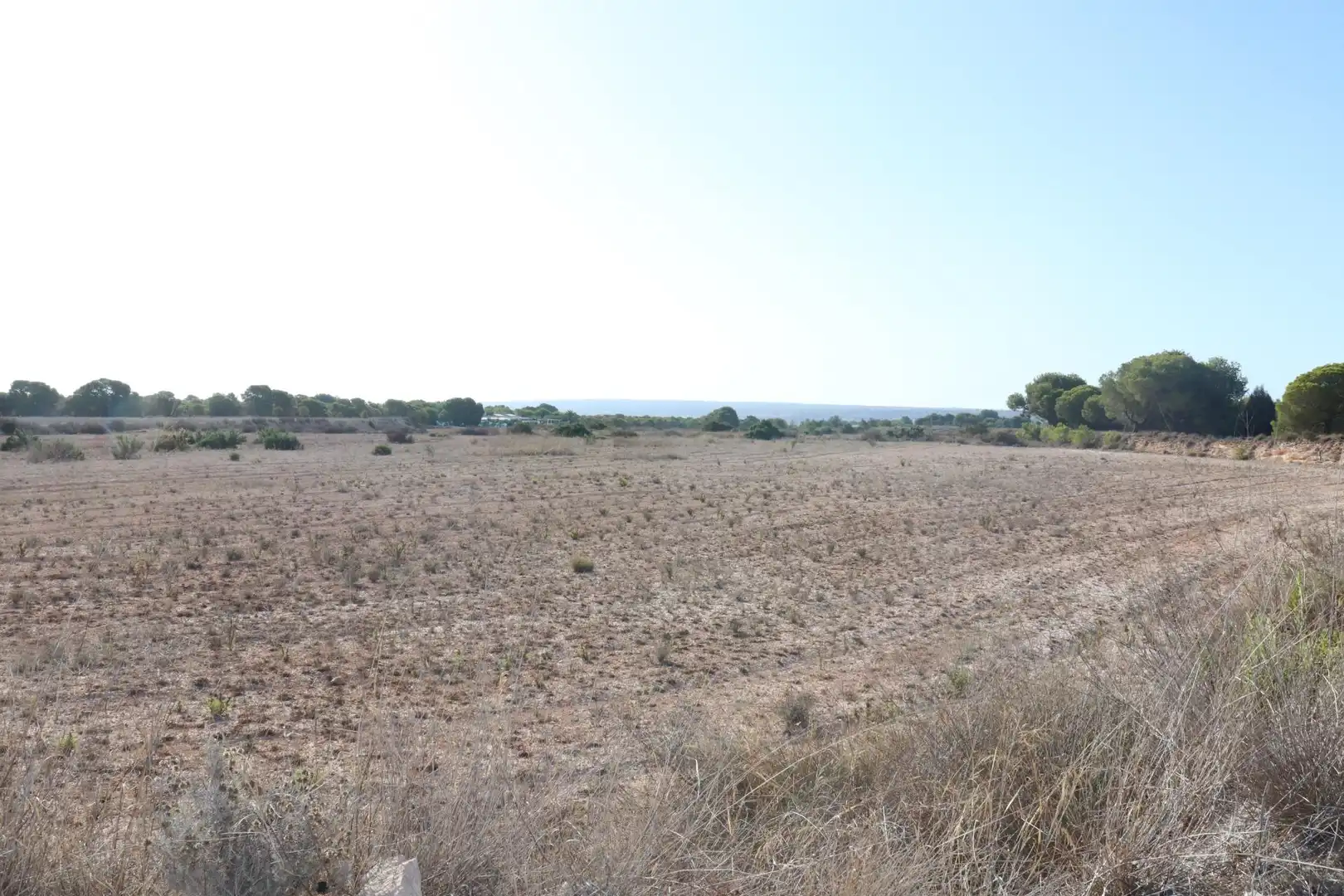 Terrain rustique à vendre à Valverde