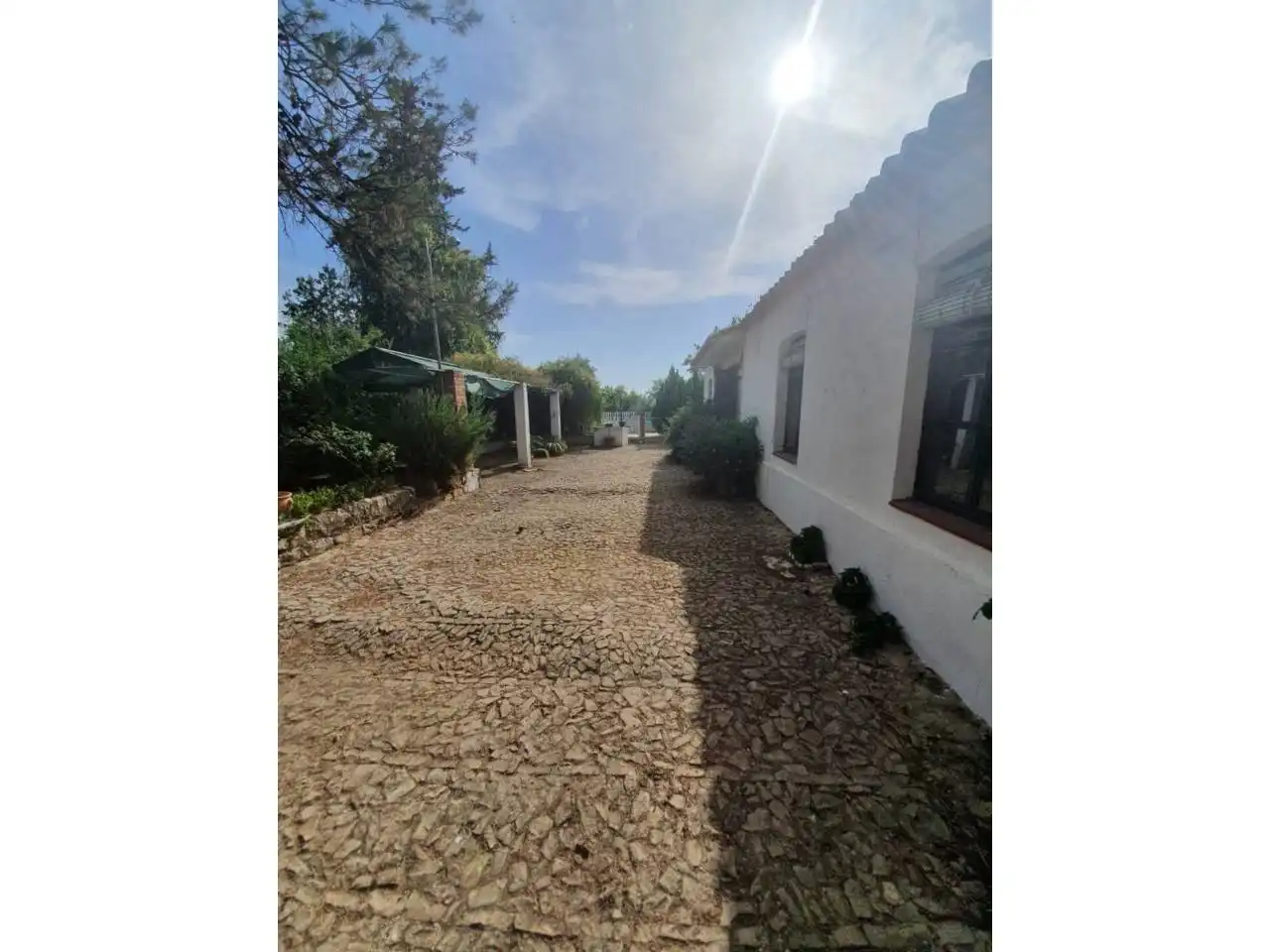 Vista exterior de Finca rústica en venta en Torreperogil
