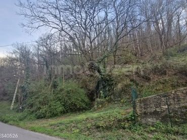 Terreno rustico in vendita a N/A