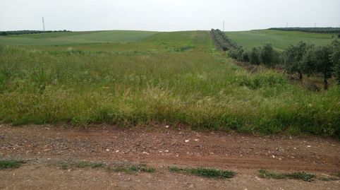 Foto 3 de Finca rústica en venta en Sur, Mérida
