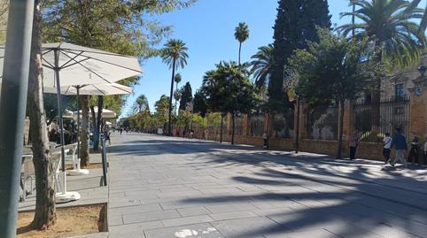 Photo 5 of Premises to rent in Calle San Fernando, Alfalfa - Santa Cruz, Sevilla