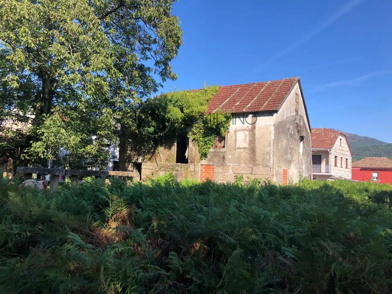 Vista exterior de Casa o xalet en venda en Mos amb Jardí privat