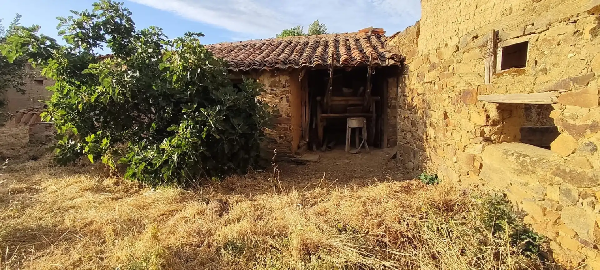 Terreni e lotti in vendita a Riego de la Vega, imagen 2