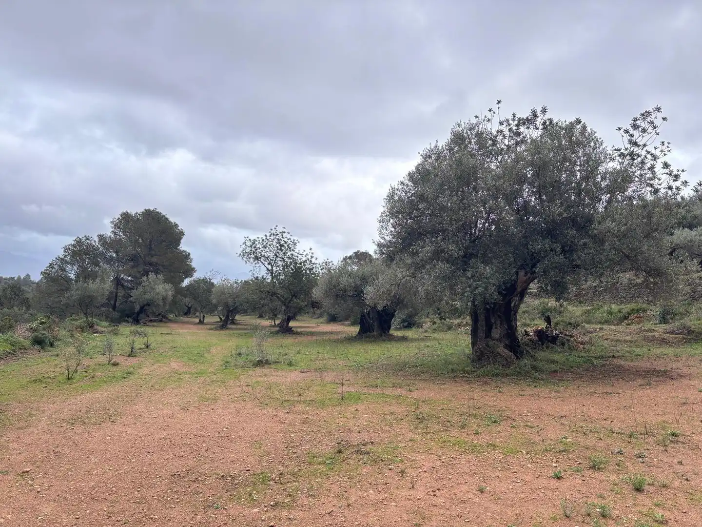 Casa rústica en venta en Alfara de Carles, imagen 22
