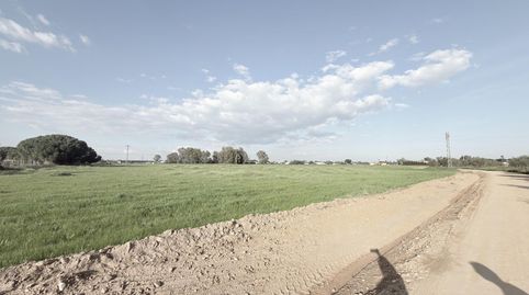 FINCA RUSTICA EN EL PINTADO GIBRALEÓN  HUELVA, immagine 3