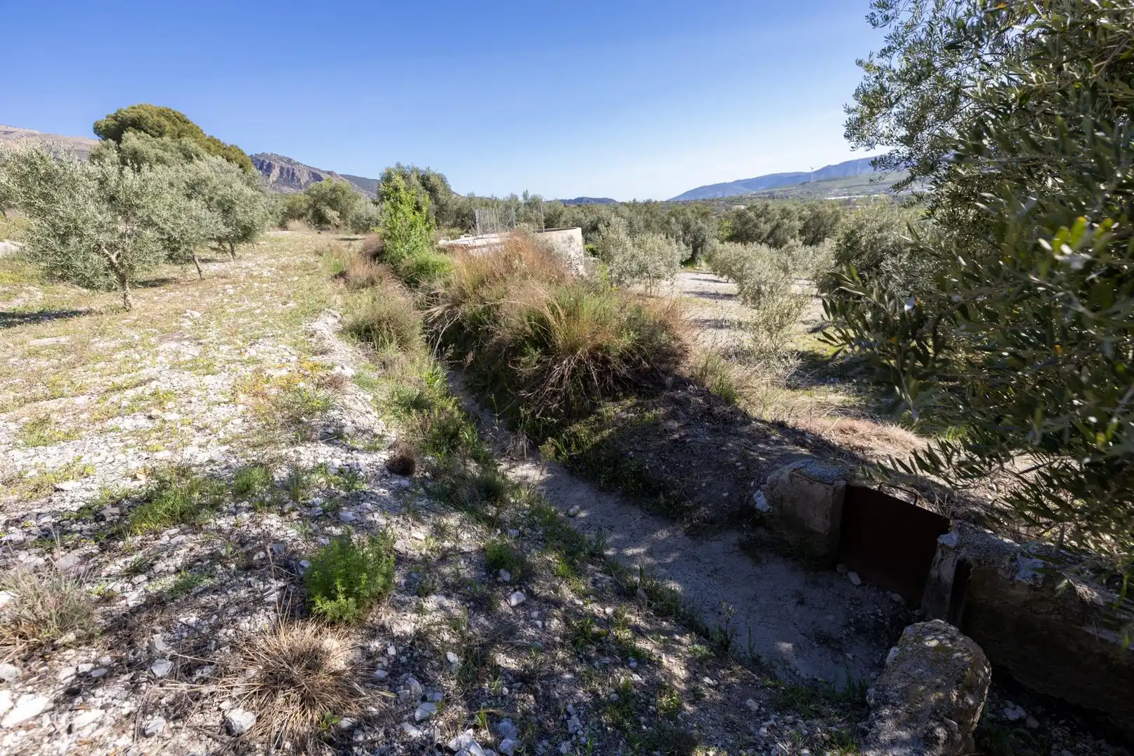 Terreni e lotti in vendita a Dúrcal, imagen 6