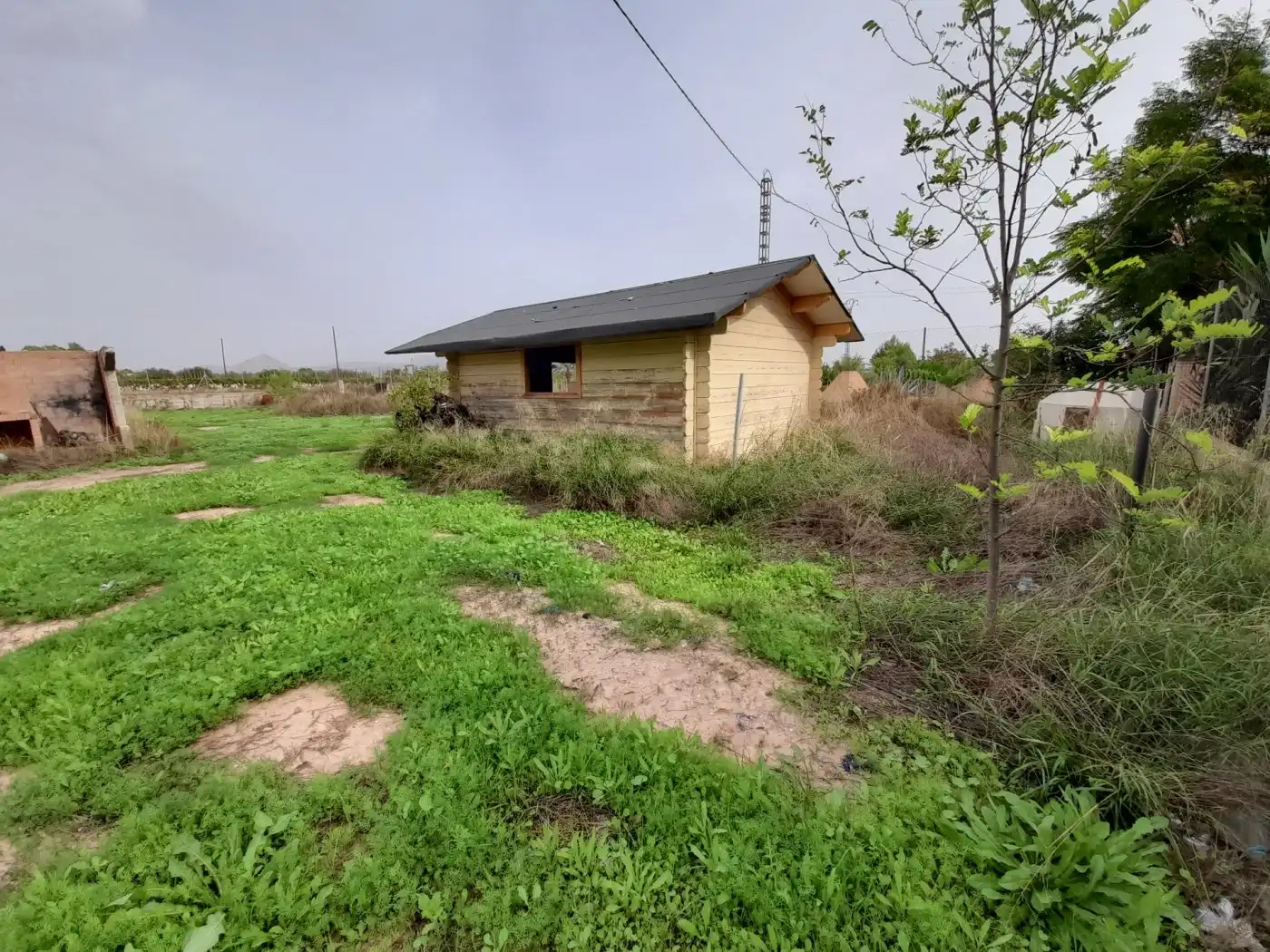 Casa o xalet en venda en Novelda amb Terrassa i Alarma