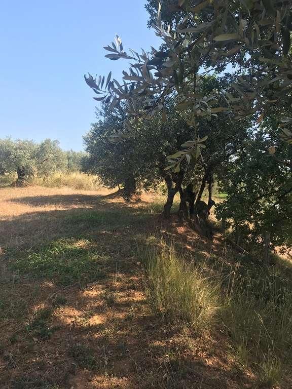 Grundstücke zum verkauf in La Garriga