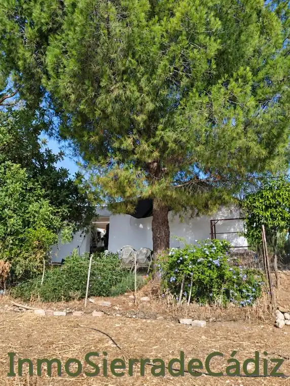 Casa rústica amb piscina en venda a Villamartín, imagen 13