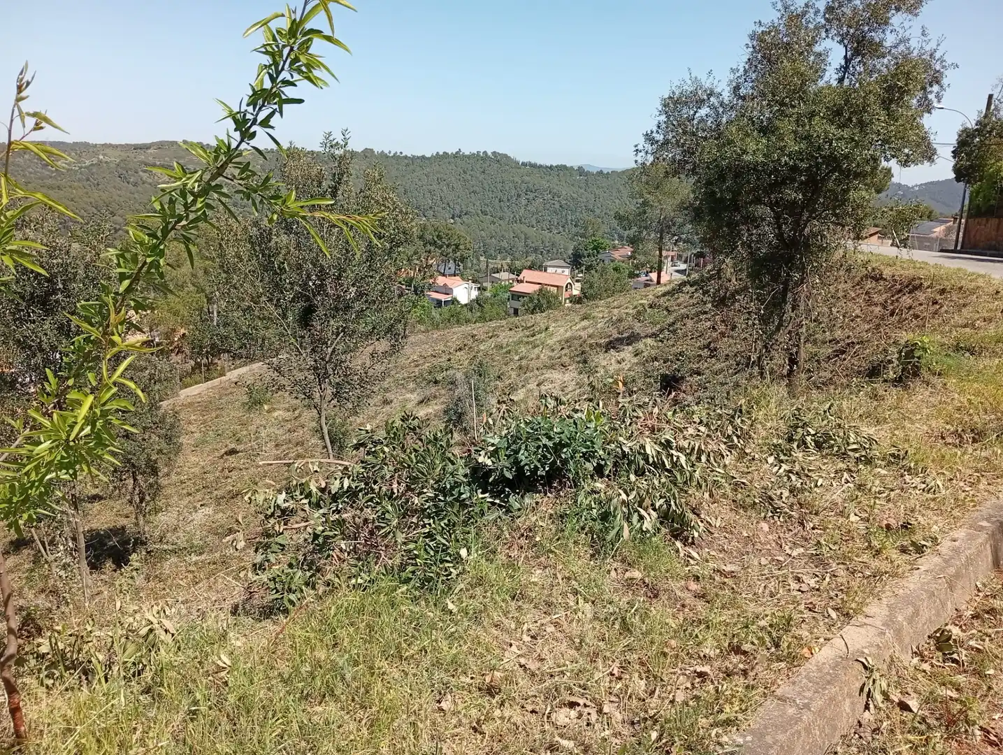 Terreny residencial en venda a Segona Avinguda 78, imagen 6
