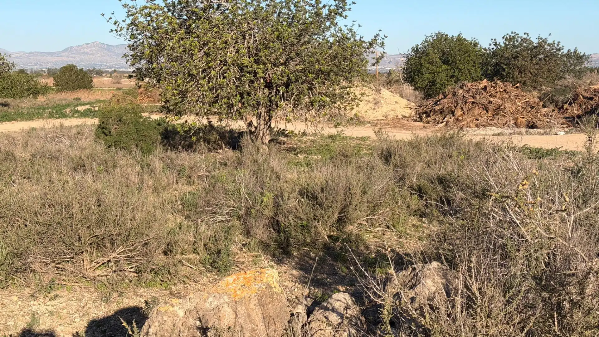 Terreno residencial en venta en La Marina, imagen 39