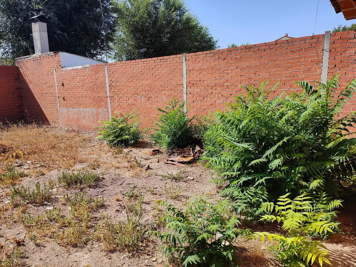 Lands and plots for sale in Corral de Almaguer, imagen 13