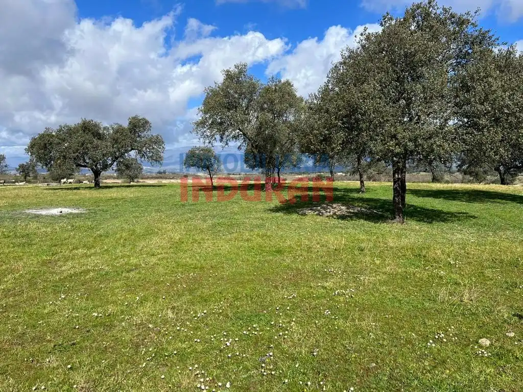 Finca rústica en venta en Tiétar