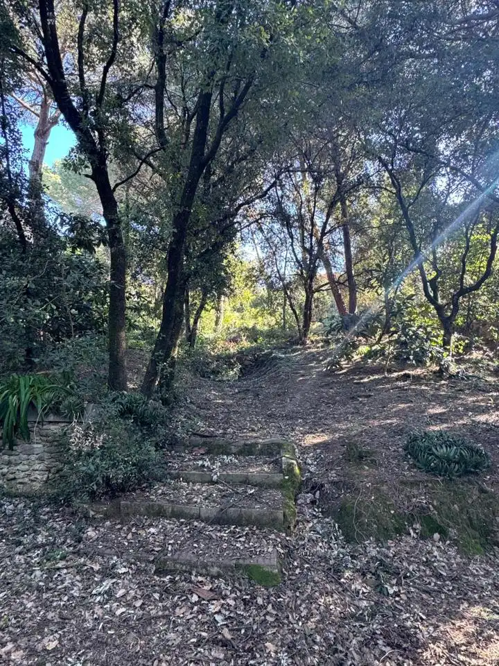 Grundstücke und Bauplätze zum Verkauf in De Lluis Millet, imagen 29