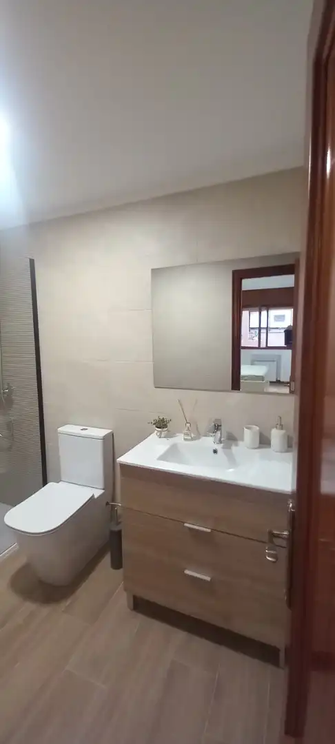 Wohnung zur Miete in Barrio del Centro