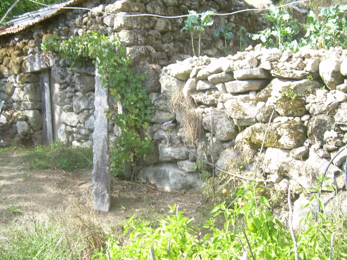 Haus zum Verkauf in Ventana, imagen 35