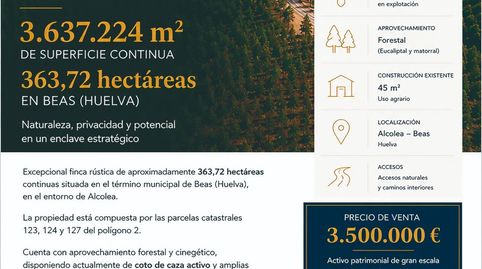 FINCA RÚSTICA DE 363 HECTÁREAS EN BEAS HUELVA, immagine 3