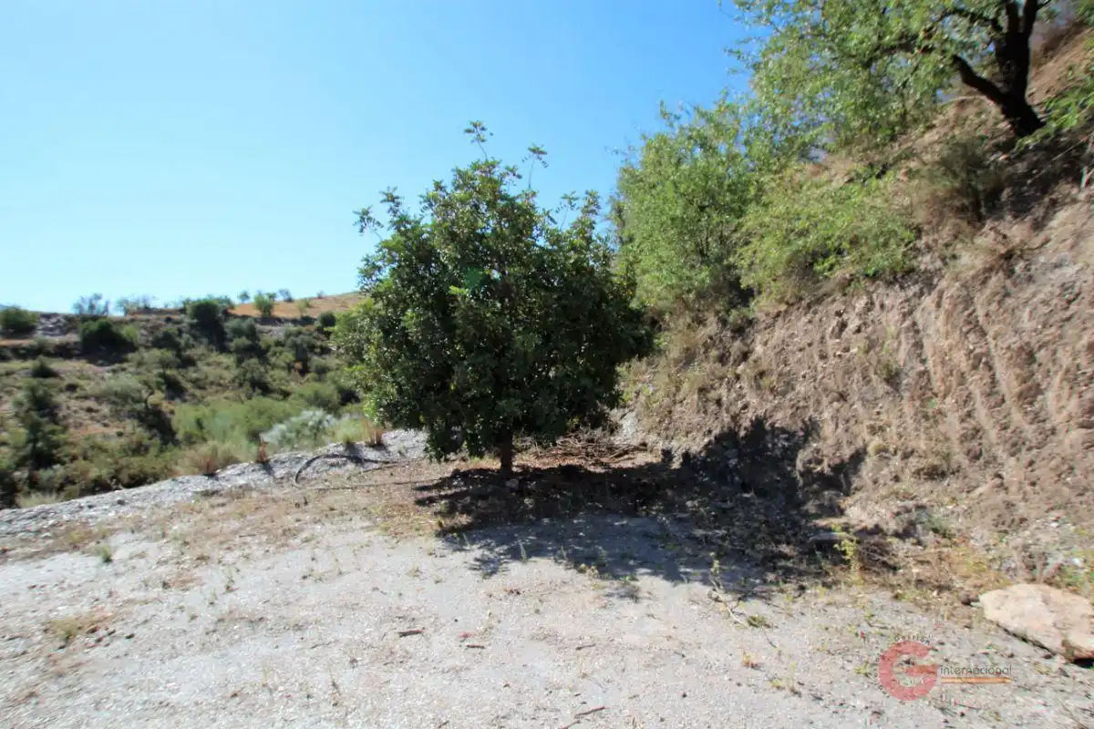 Finca rústica en venta en Los Tablones - La Garnatilla