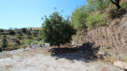 Foto 5 de Finca rústica en venda a Los Tablones - La Garnatilla, Granada