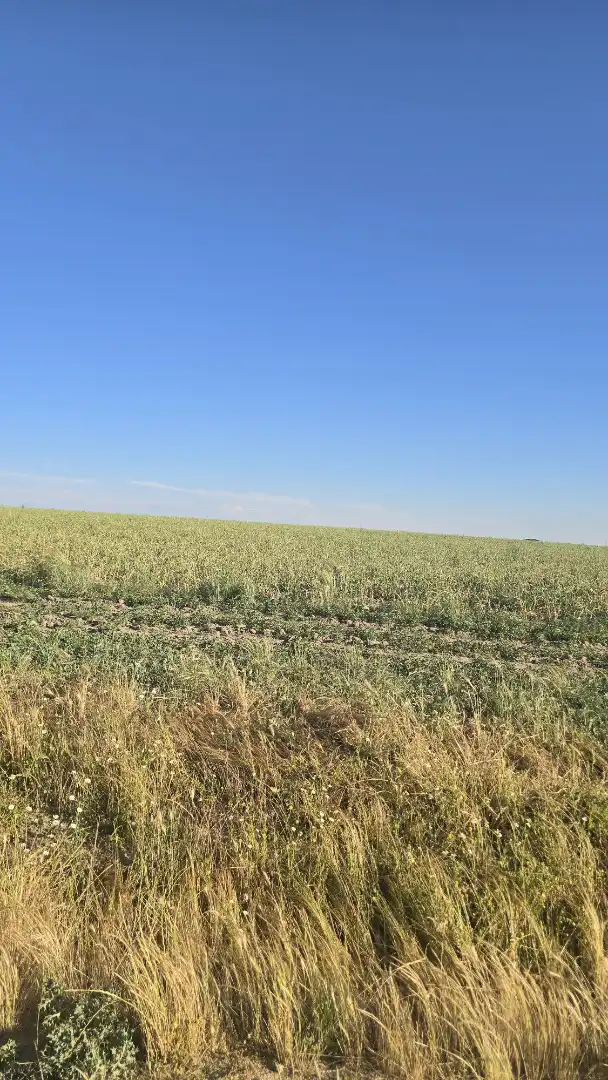 Terreno rustico in vendita a Ontígola, imagen 7