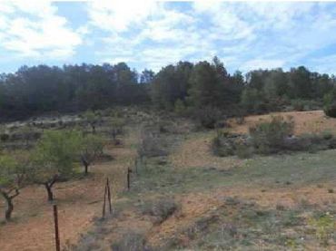 Terreno rustico in vendita a Liétor