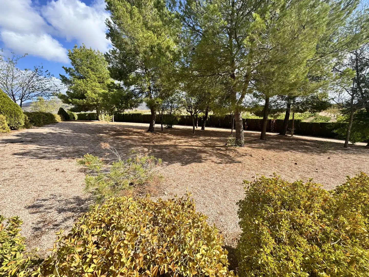 Casa o xalet en venda en Caravaca de la Cruz amb Aire condicionat, Jardí privat i Traster