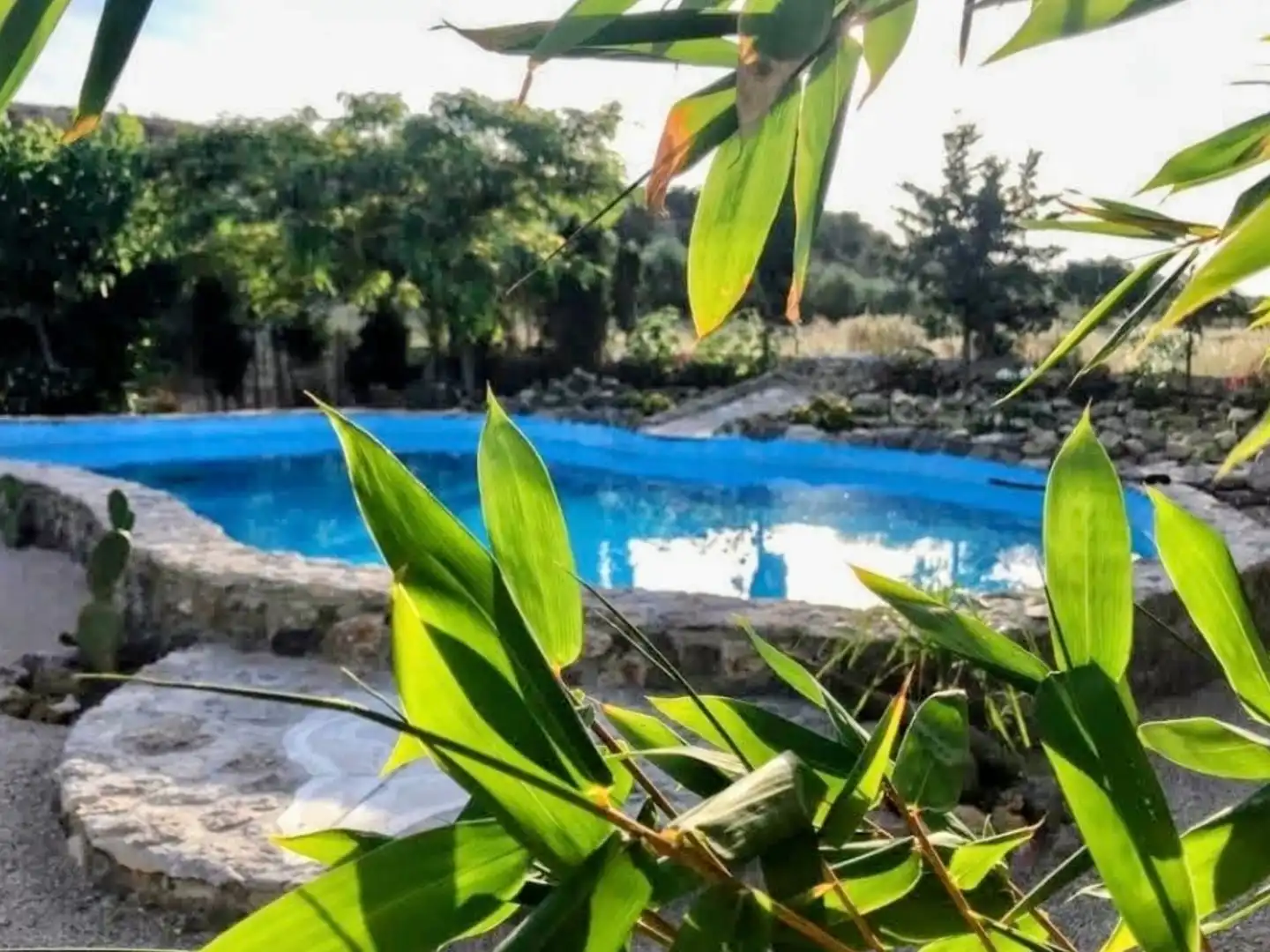 Piscina de Casa o chalet en venta en Novelda con Calefacción, Terraza y Piscina