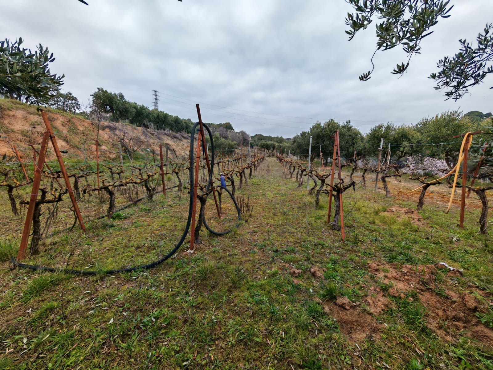 Residencial en venta en Granollers