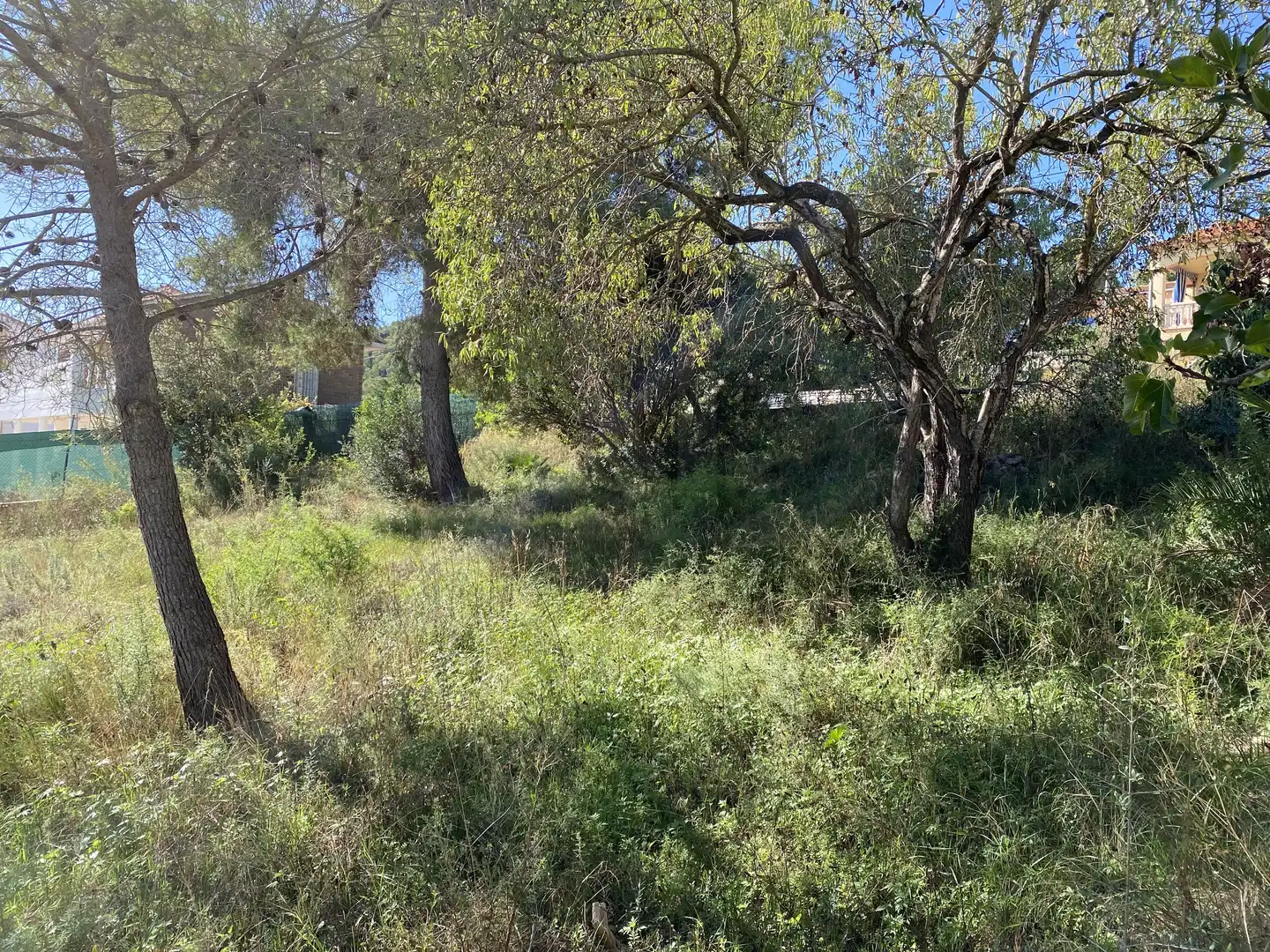 Terreno residencial en venta en Albinyana, imagen 8
