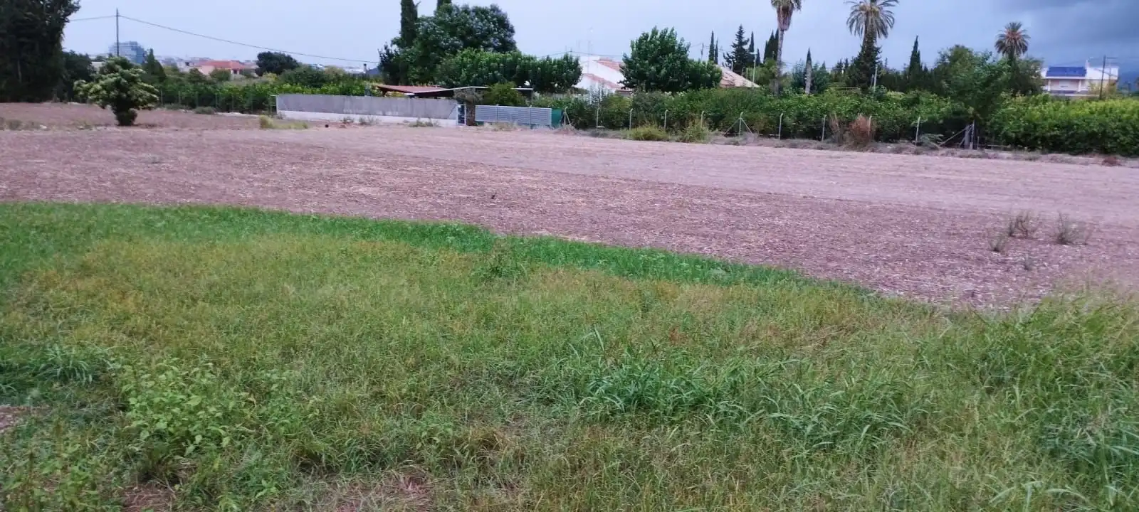 Terreny rústic en venda a Carril Ermita Los Alburquerques 42, imagen 6