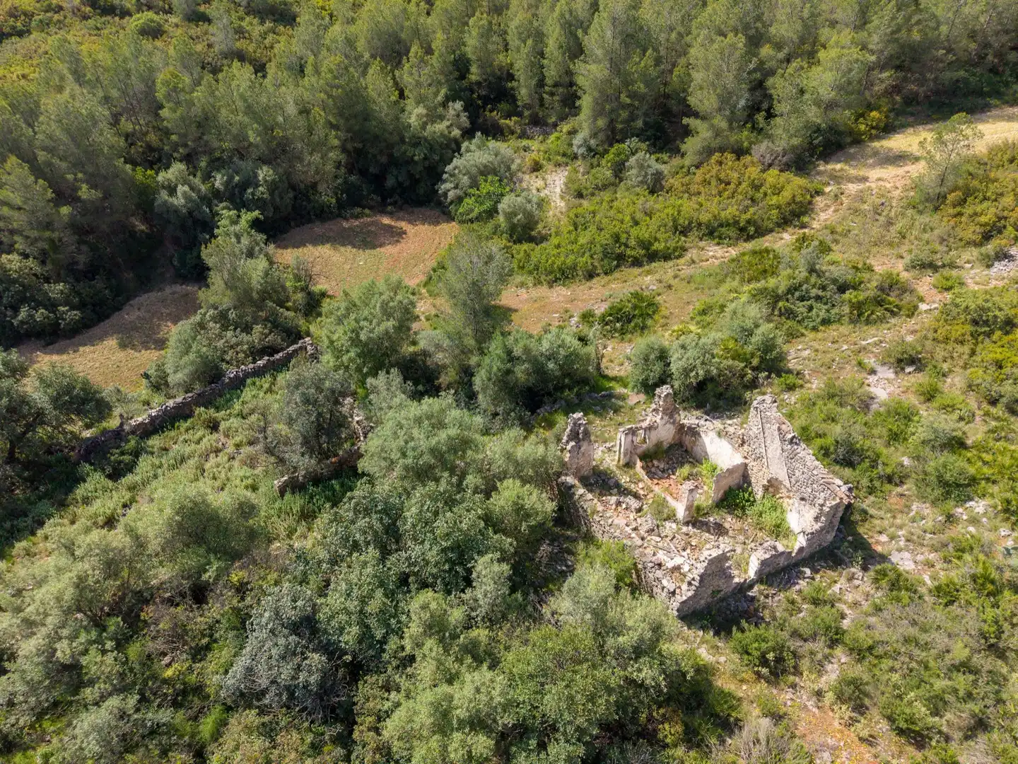 Maison rustique à vendre à Enguera, imagen 29