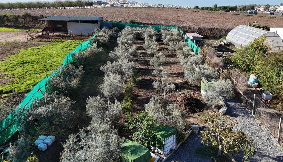 Photo 1 of Country house for sale in Las Cabezas de San Juan, Sevilla