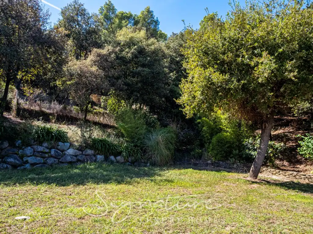House with pool to rent in Camino Salut, imagen 40