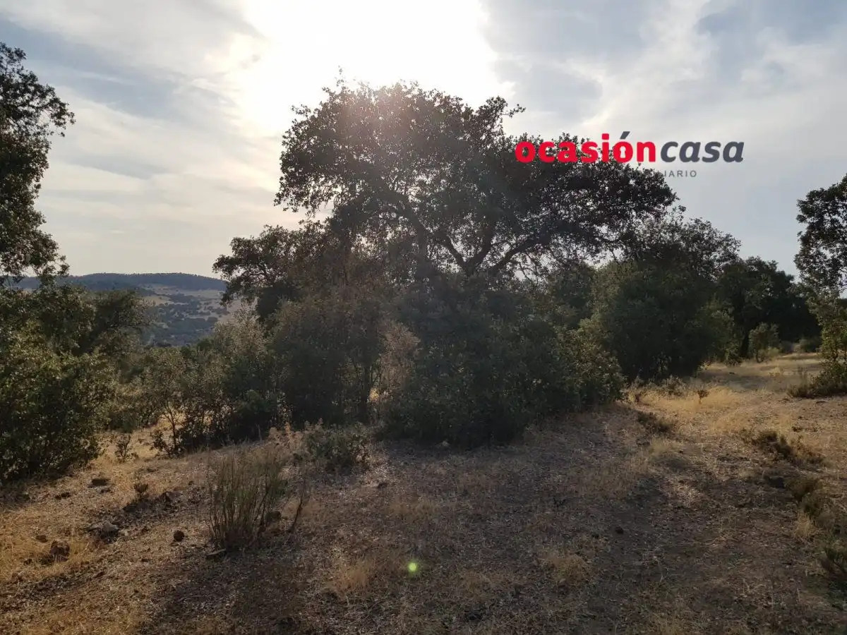 Finca rústica en venta en Espiel con Piscina y Amueblado