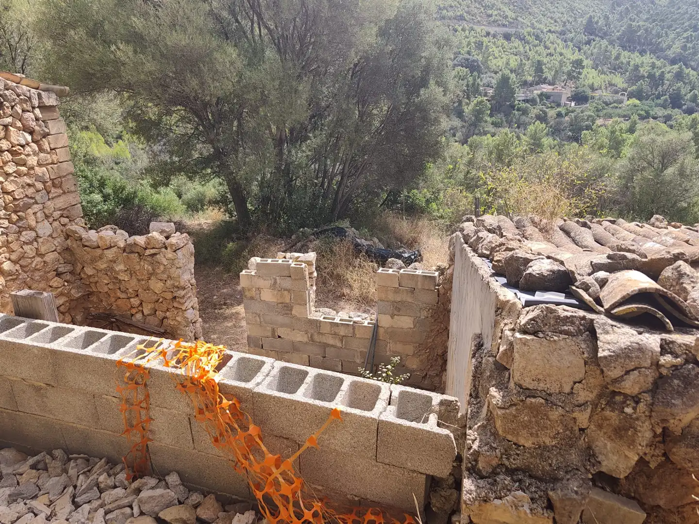 Terreny rústic en venda a Andratx pueblo, imagen 14