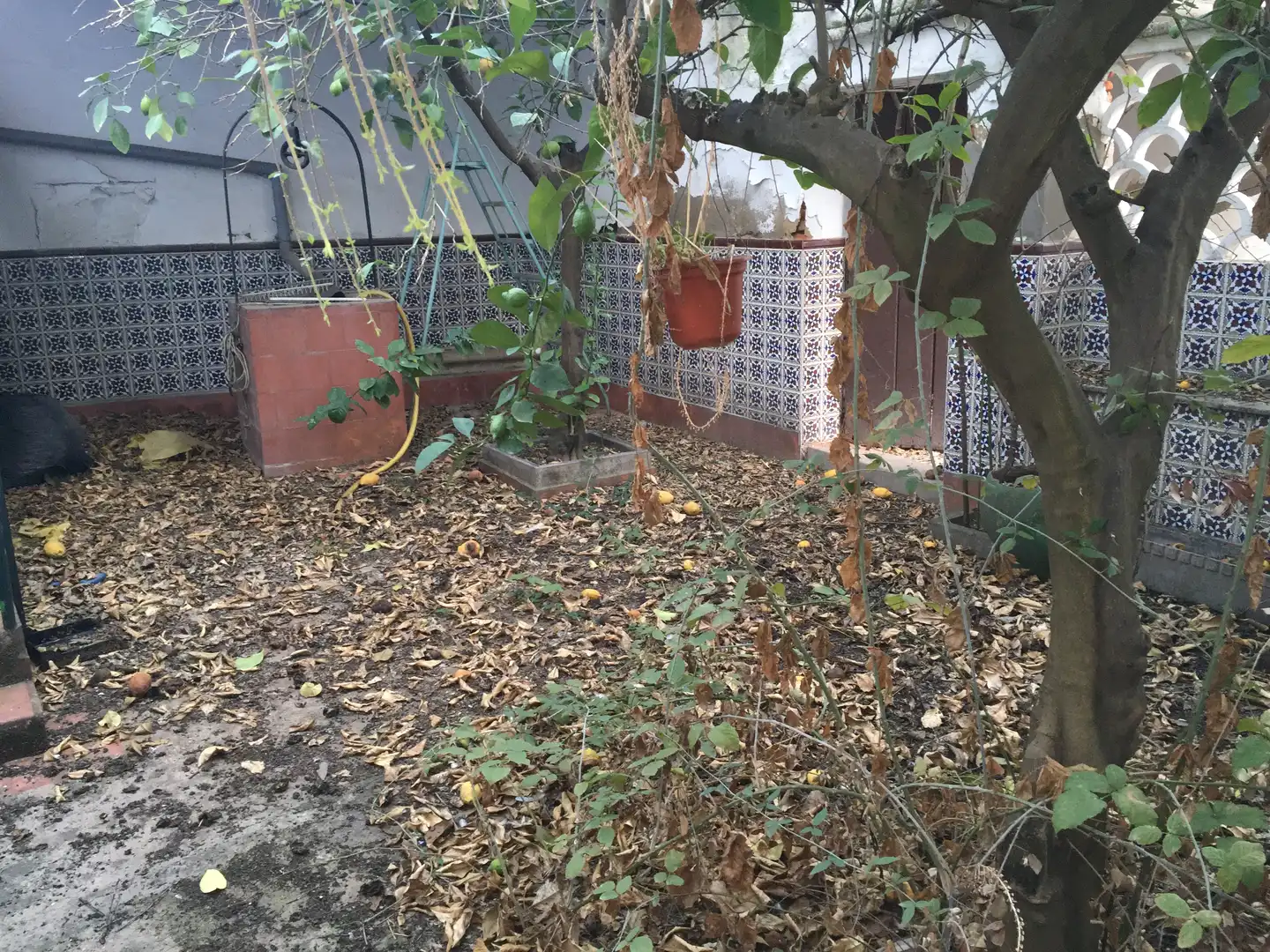Haus zum Verkauf in Don Benito, imagen 10