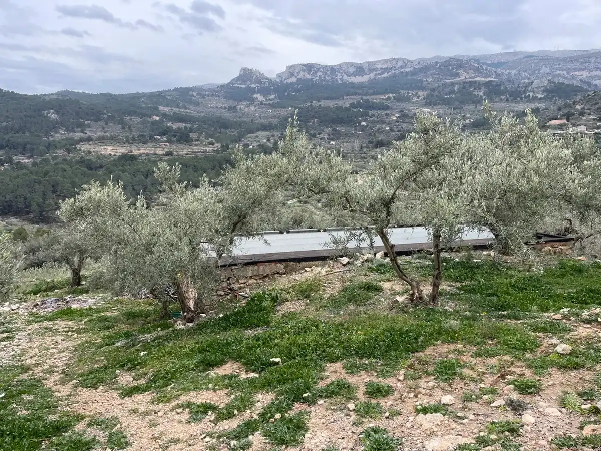 Maison rustique à vendre à Confrides, imagen 10