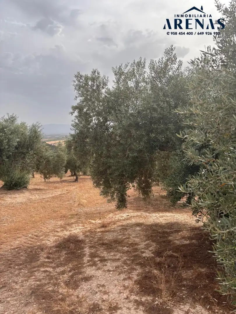 Rustikales Grundstück zum Verkauf in Calle Pozo de Íllora, imagen 2