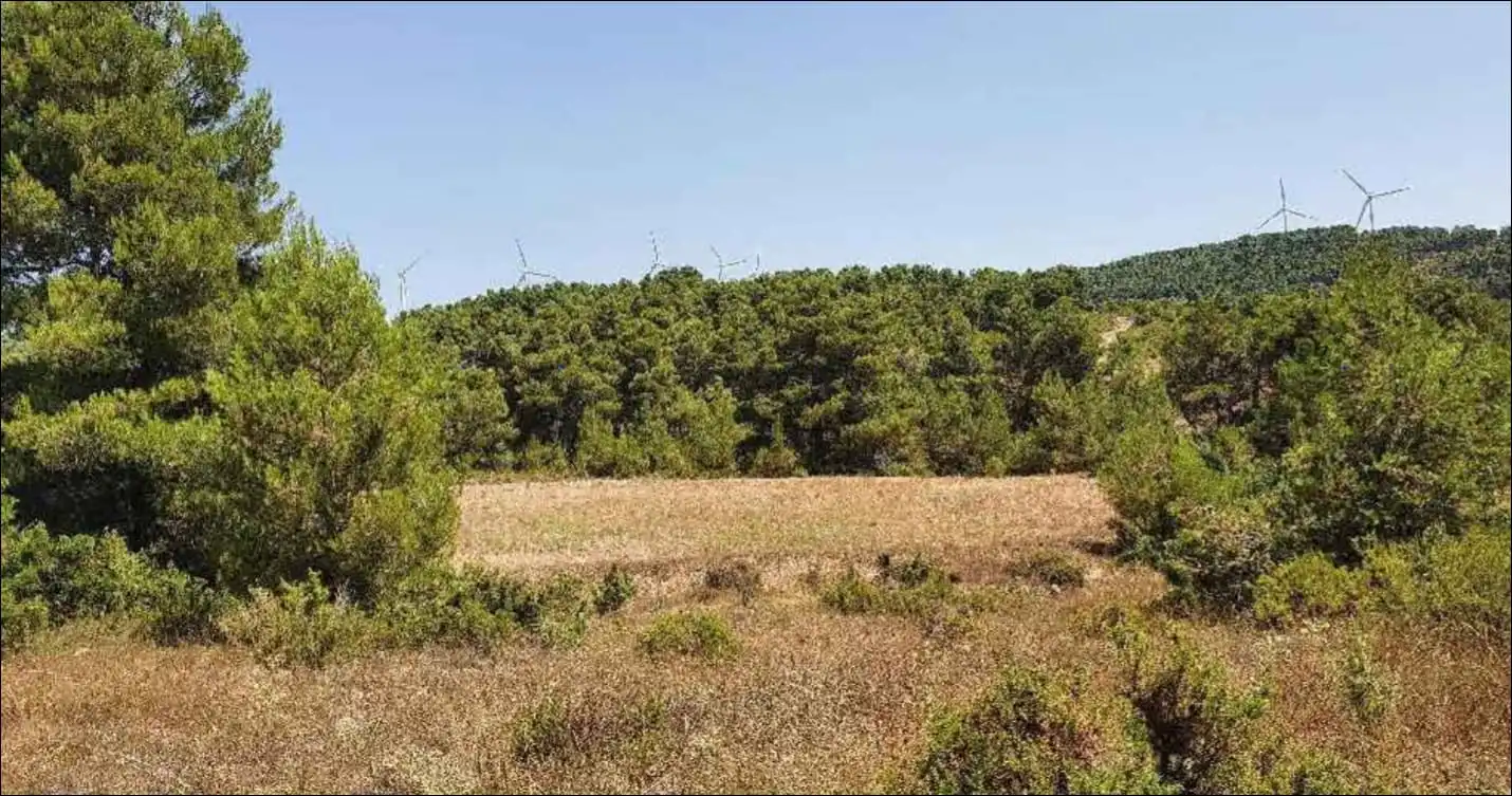 Terreno rustico in vendita a C/ Dehesa de Mojón Blanco