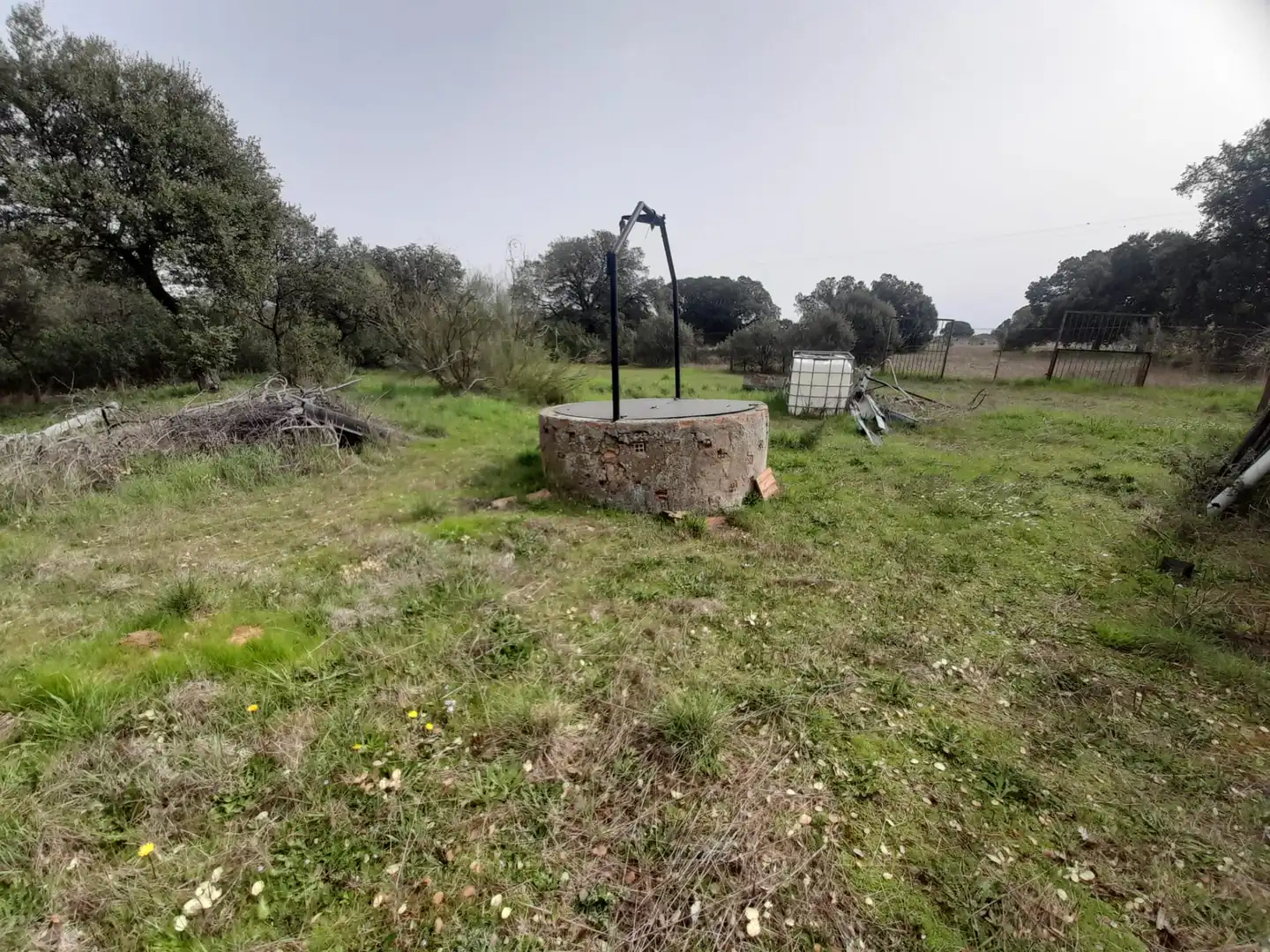 Finca rústica en venta en Brazatortas con Trastero y Piscina