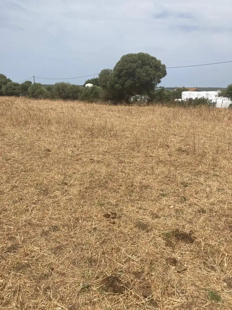 Casa rústica en venda a Barbate ciudad, imagen 10